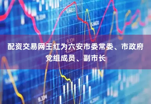 配资交易网王红为六安市委常委、市政府党组成员、副市长