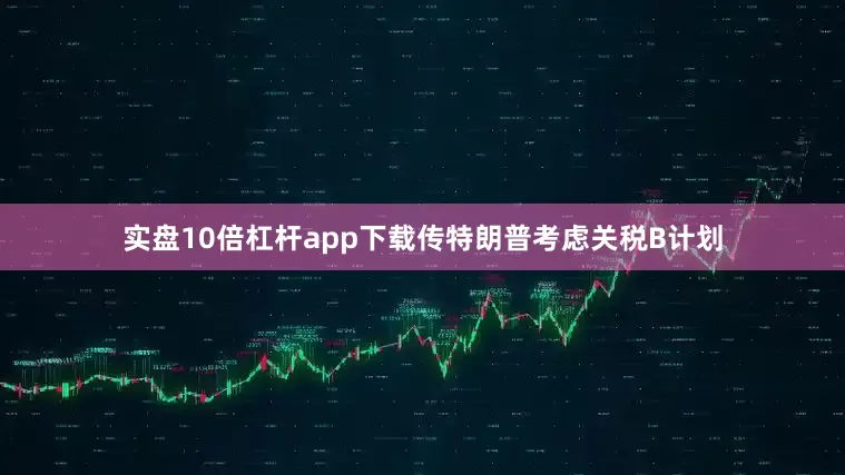 实盘10倍杠杆app下载传特朗普考虑关税B计划