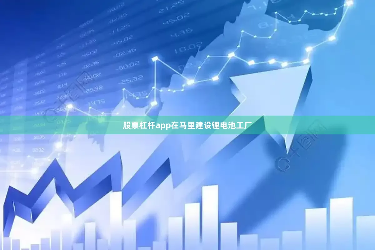 股票杠杆app在马里建设锂电池工厂
