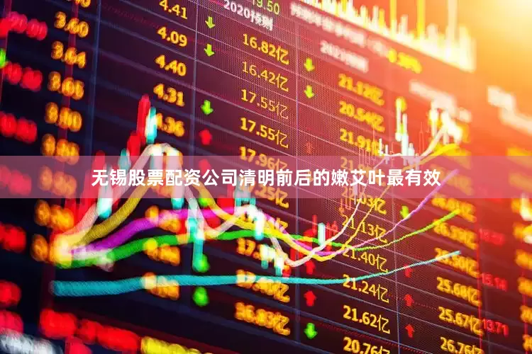 无锡股票配资公司清明前后的嫩艾叶最有效