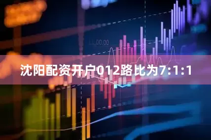沈阳配资开户012路比为7:1:1
