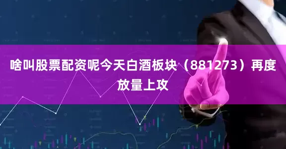 啥叫股票配资呢今天白酒板块（881273）再度放量上攻