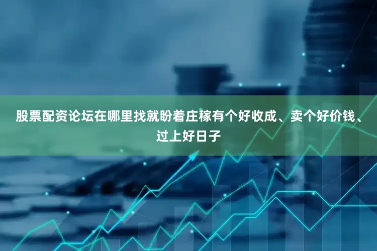 股票配资论坛在哪里找就盼着庄稼有个好收成、卖个好价钱、过上好日子