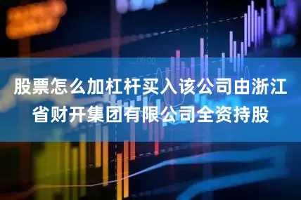 股票怎么加杠杆买入该公司由浙江省财开集团有限公司全资持股